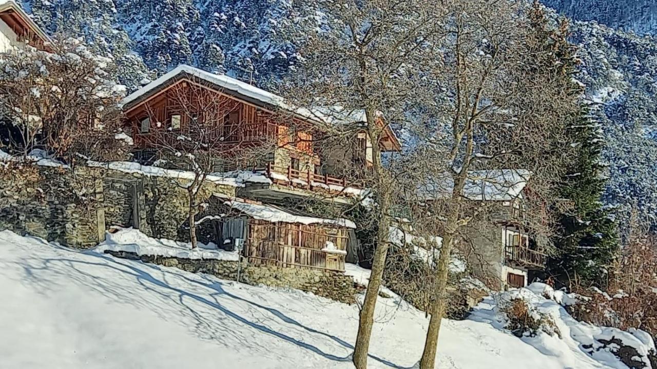 Eco Chalet Maison Dominique Challand-Saint-Anselme Екстериор снимка
