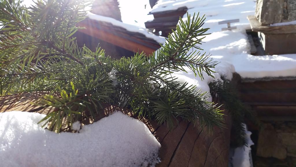 Eco Chalet Maison Dominique Challand-Saint-Anselme Екстериор снимка