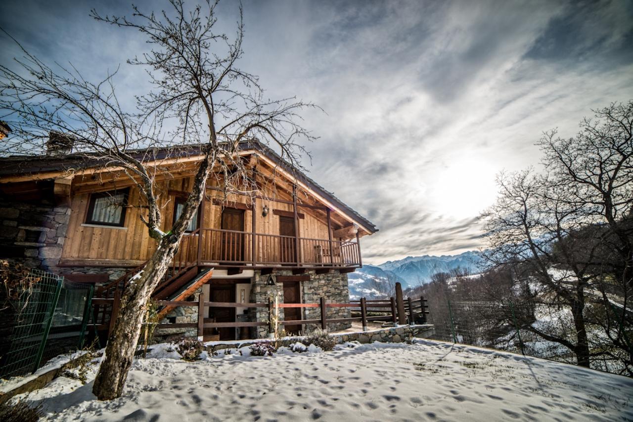 Eco Chalet Maison Dominique Challand-Saint-Anselme Екстериор снимка